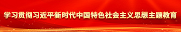 美女被人骚逼www学习贯彻习近平新时代中国特色社会主义思想主题教育